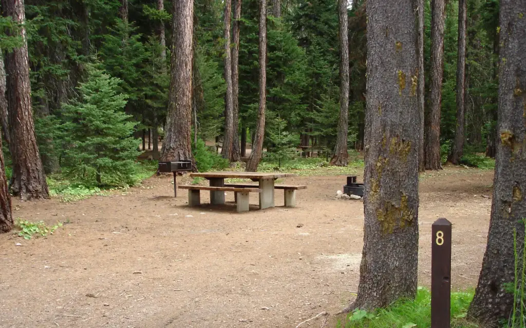 Kennally Creek, a Forest Service campground