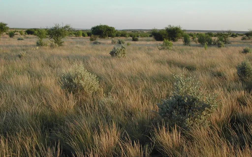 San Pedro Group Campground, a National Park Service group camp