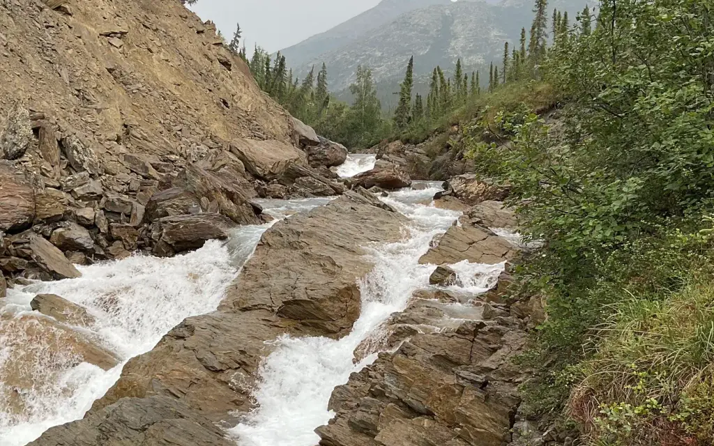 Marion Creek Campground, a BLM campground