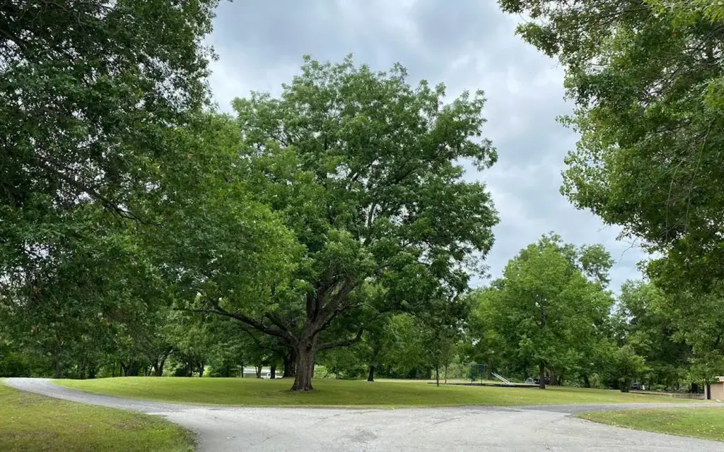 Tullahasse Loop, an Army Corps campground