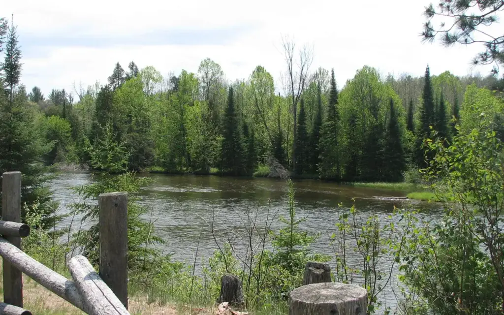 Au Sable Loop Campground, a Forest Service campground