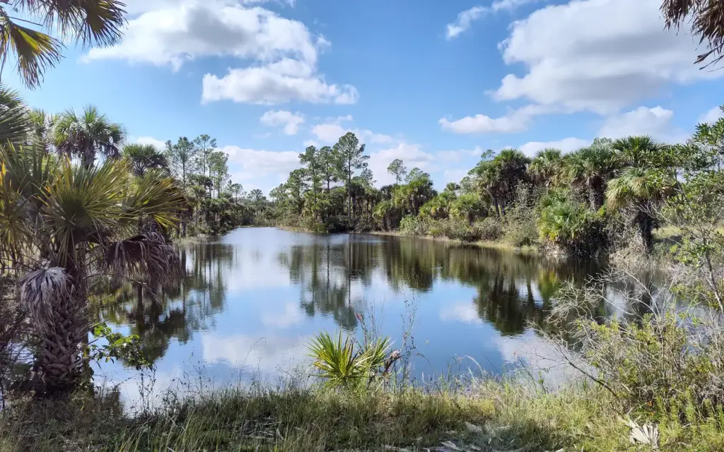 Gator Head Campground, a National Park Service campground