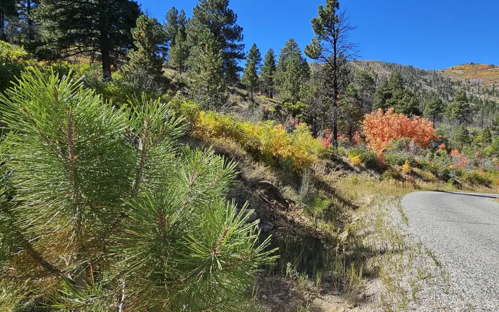 Price Canyon Recreation Area, a BLM campground