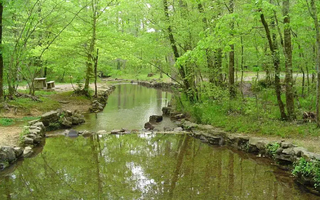 Pocket Campground, a Forest Service campground