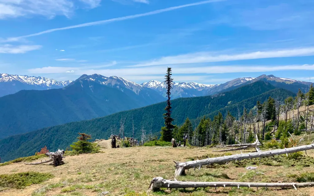 Deer Park Campground, a National Park Service campground