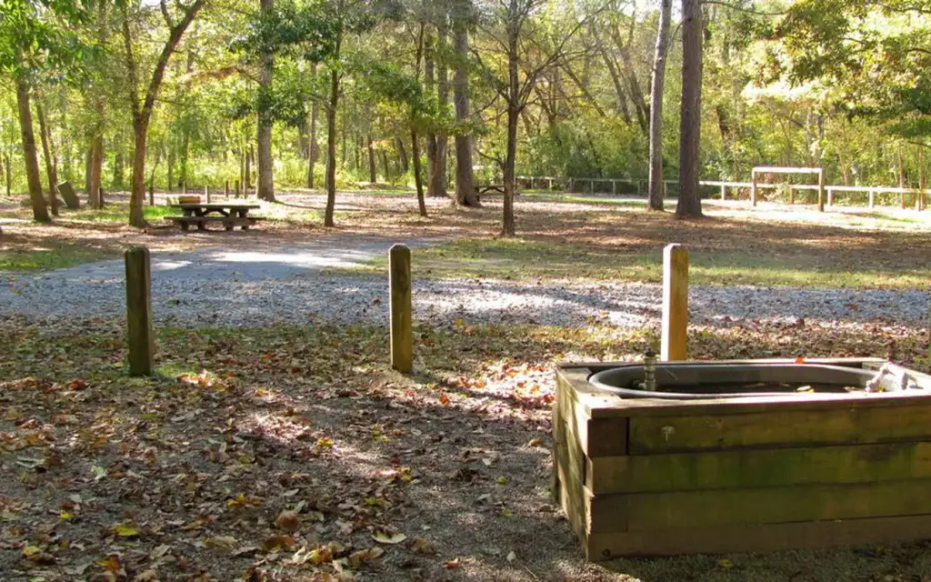 Cottonwood Patch Campground, a Forest Service campground