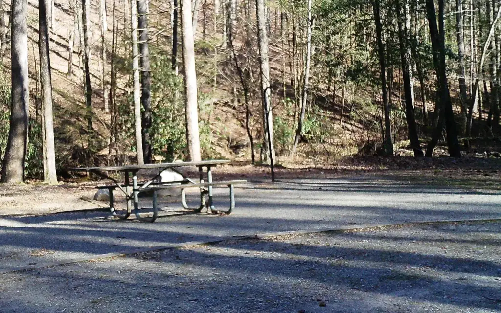 Low Gap Campground, a Forest Service campground