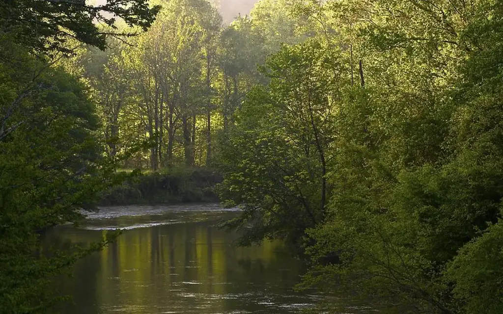 West Fork Campground, a Forest Service campground