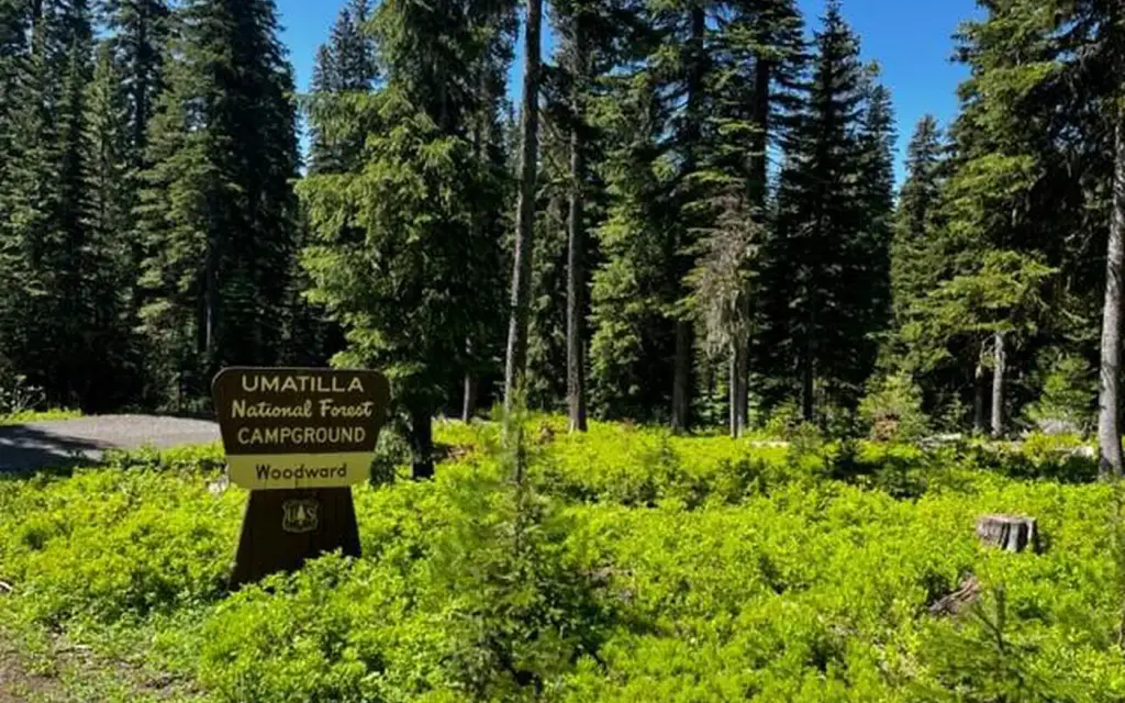 Woodward Campground, a Forest Service campground