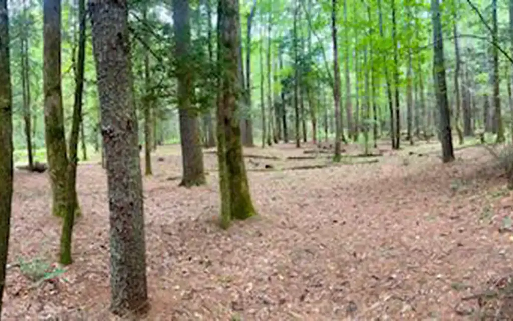 Basin Cove Backcountry Camping, a National Park Service campground