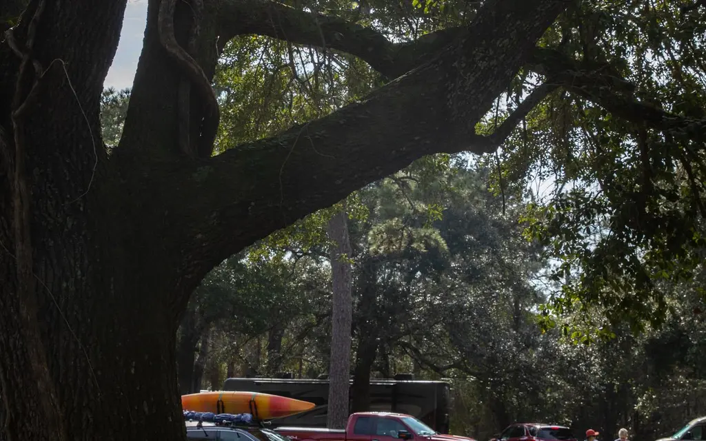 Davis Bayou Group Campground, a National Park Service campground