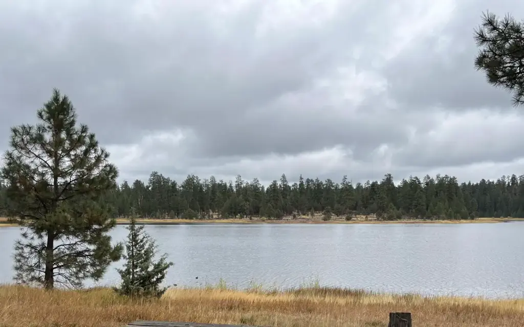 Delintment Lake Campground, a Forest Service campground