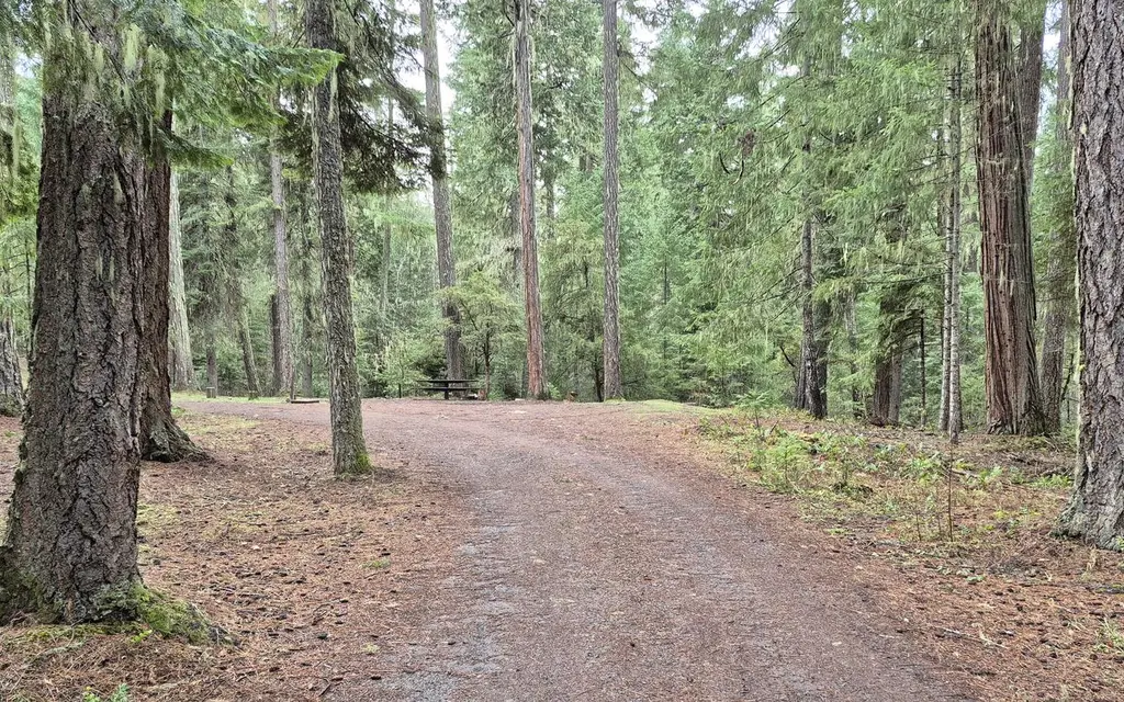 Threehorn Campground, a Forest Service campground