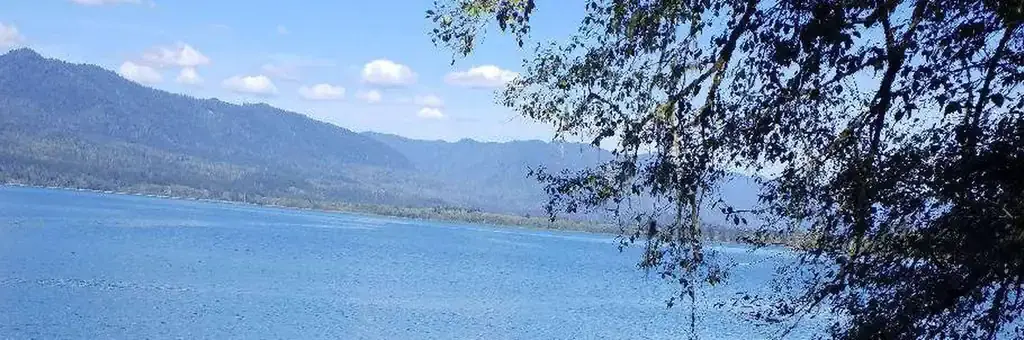 Willaby Campground, a Forest Service campground
