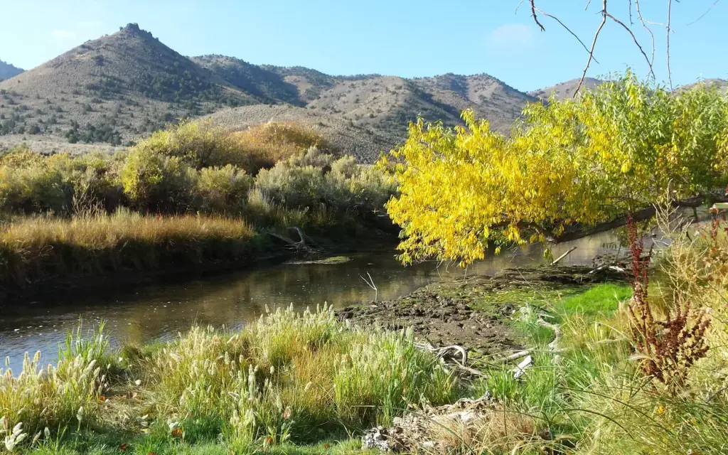 Hanging Rock Campground, a BLM campground
