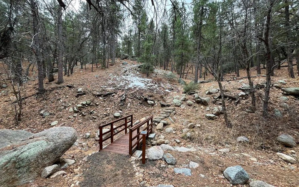 Wild Cow Springs Campground, a BLM campground