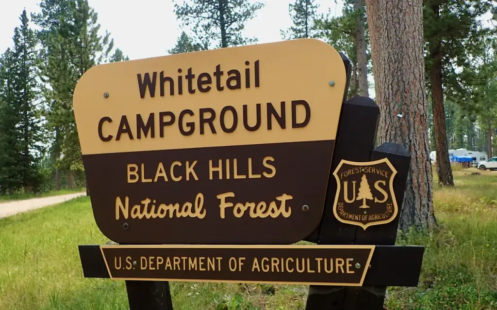 Whitetail, a Forest Service campground