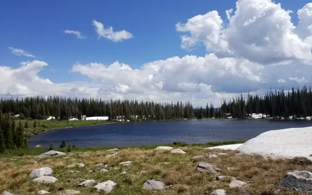 Brooklyn Lake Campground, a Forest Service campground