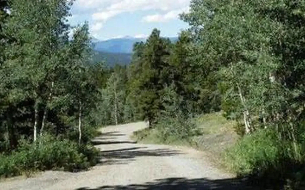 Cold Springs - Arapaho Roosevelt NF, a Forest Service campground