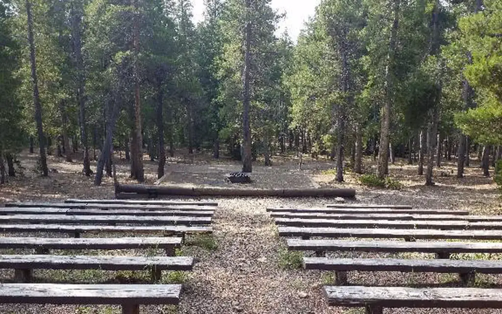 Pickle Gulch, a Forest Service group camp