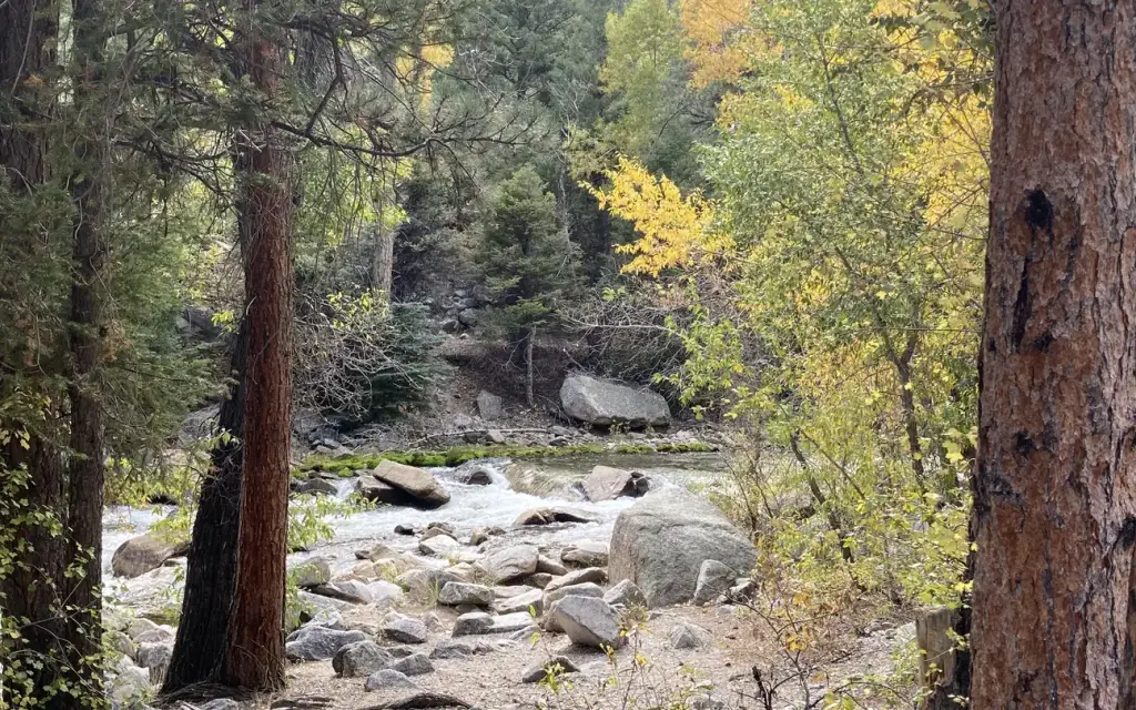 Mount Princeton, a Forest Service campground