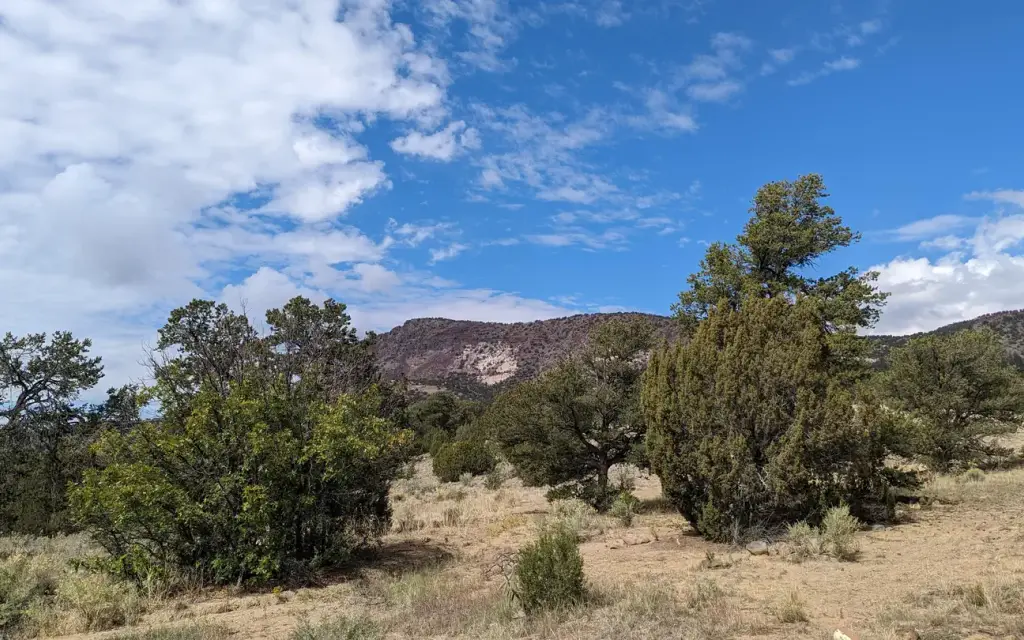 Coal Mine, a Forest Service campground