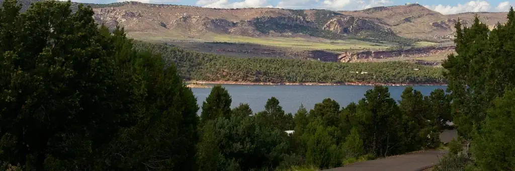 Cedar Springs Campground, a Forest Service campground