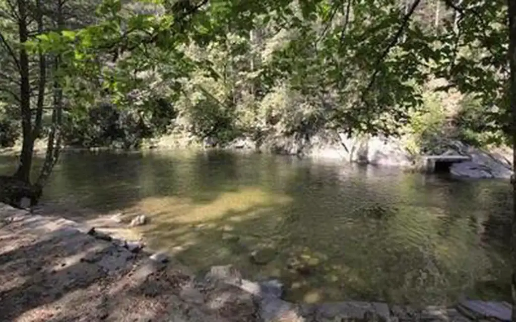 Davidson River, a Forest Service campground