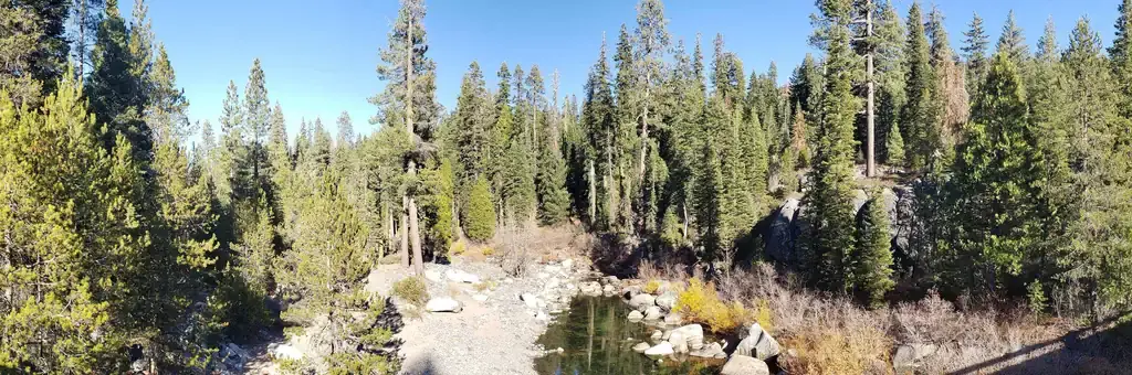 Coyote Group, a Forest Service group camp
