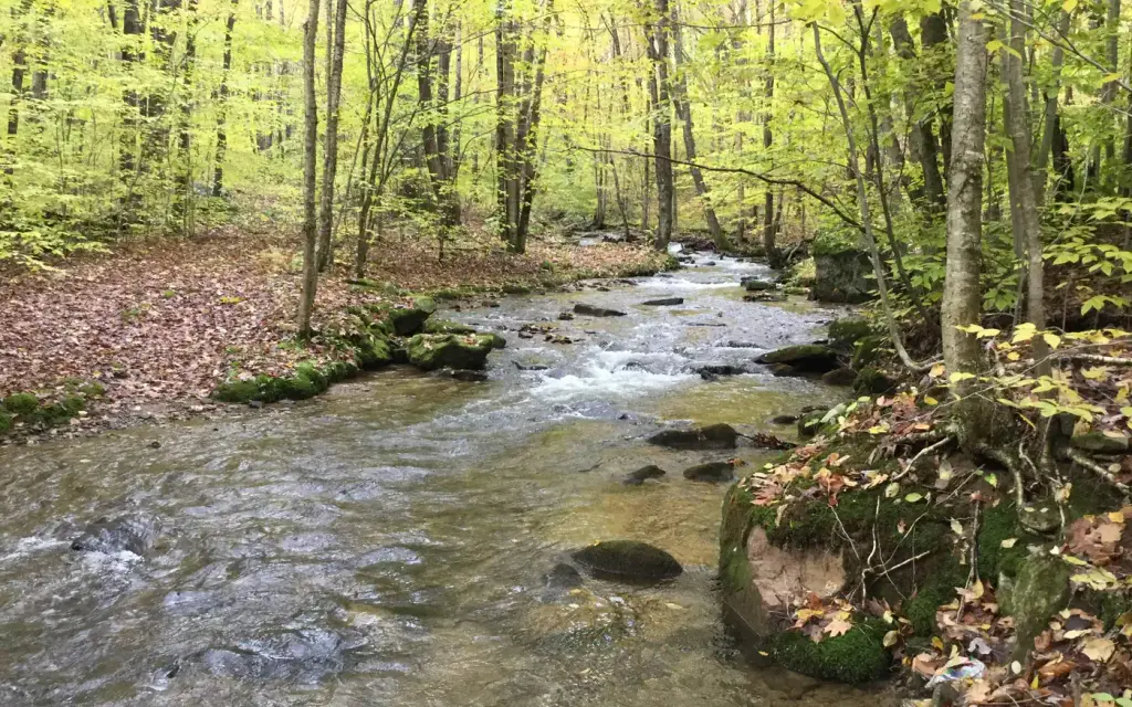 Dewdrop, a Forest Service campground
