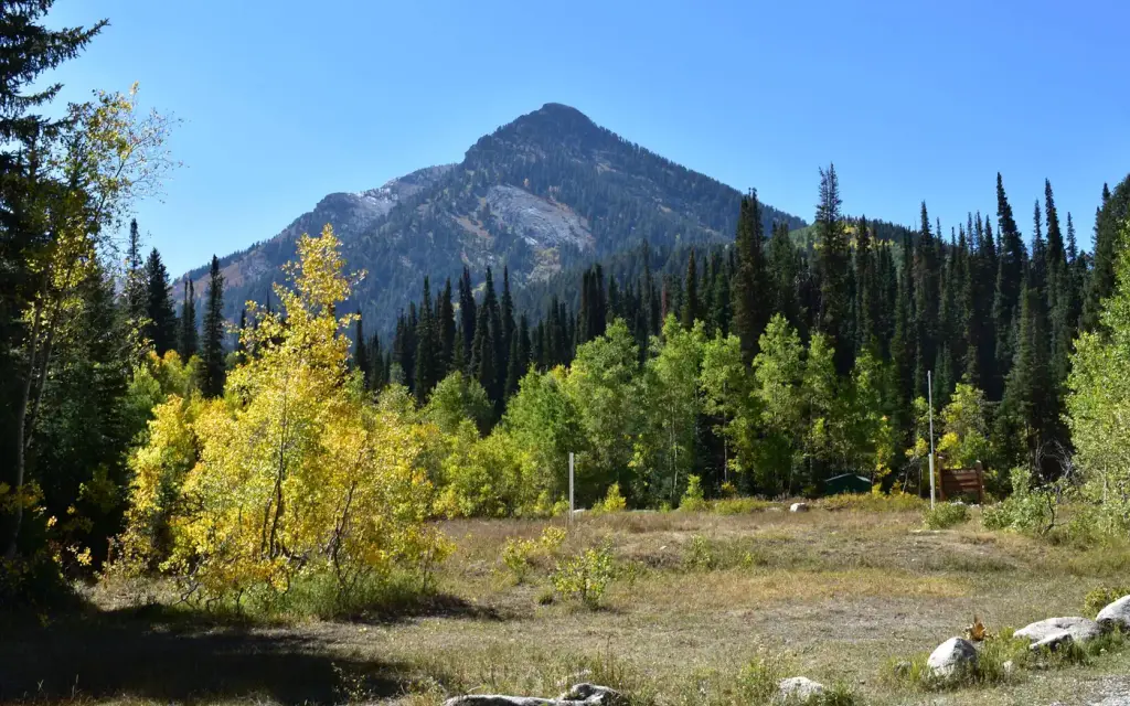 Jordan Pines, a Forest Service group camp