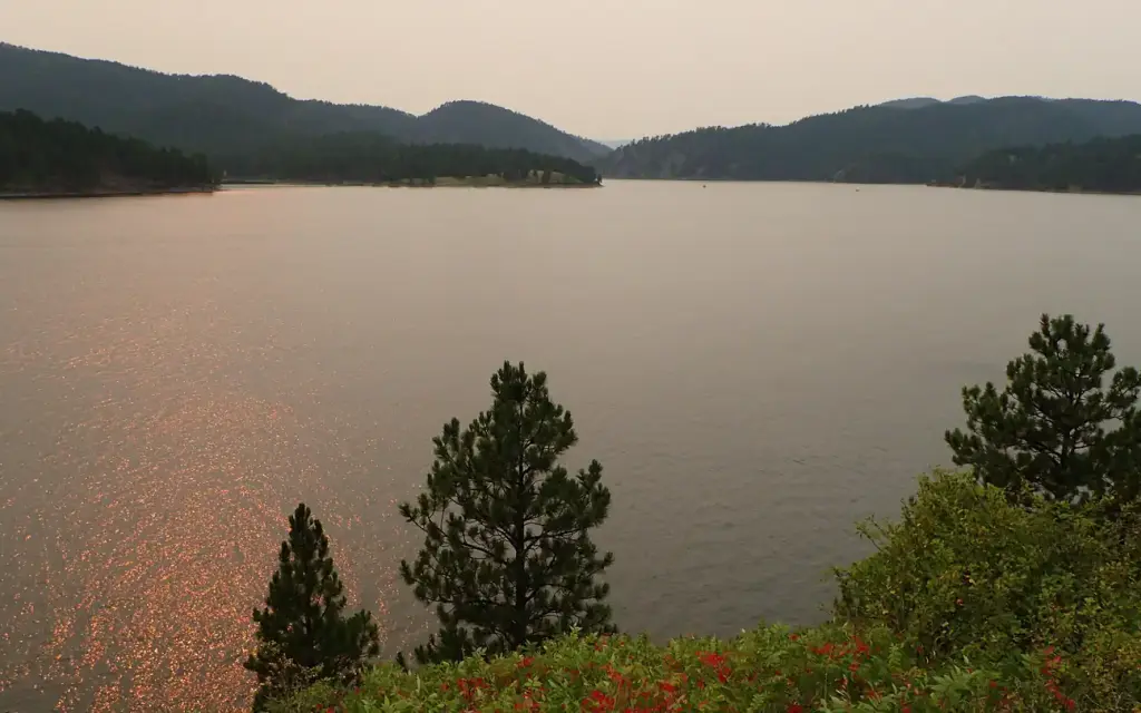 Pactola Reservoir Campground, a Forest Service campground