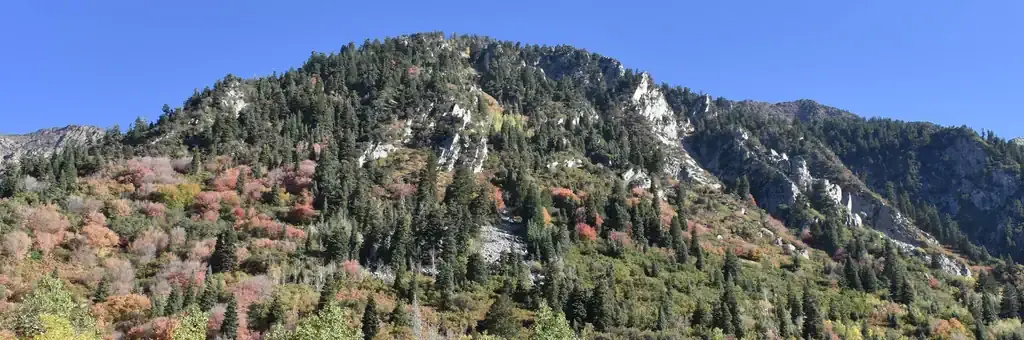 Tanners Flat, a Forest Service campground