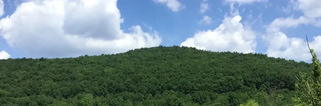 Willow Bay, a Forest Service campground