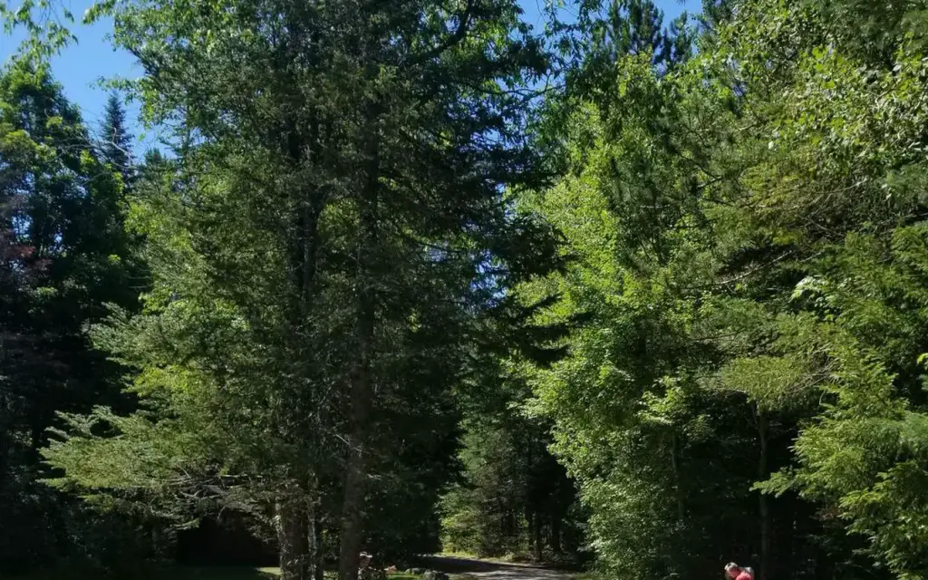 Sugarloaf 2 Campground, a Forest Service campground
