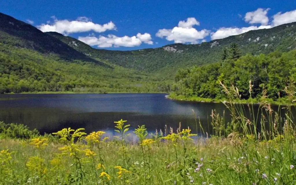 Basin Campground, a Forest Service campground