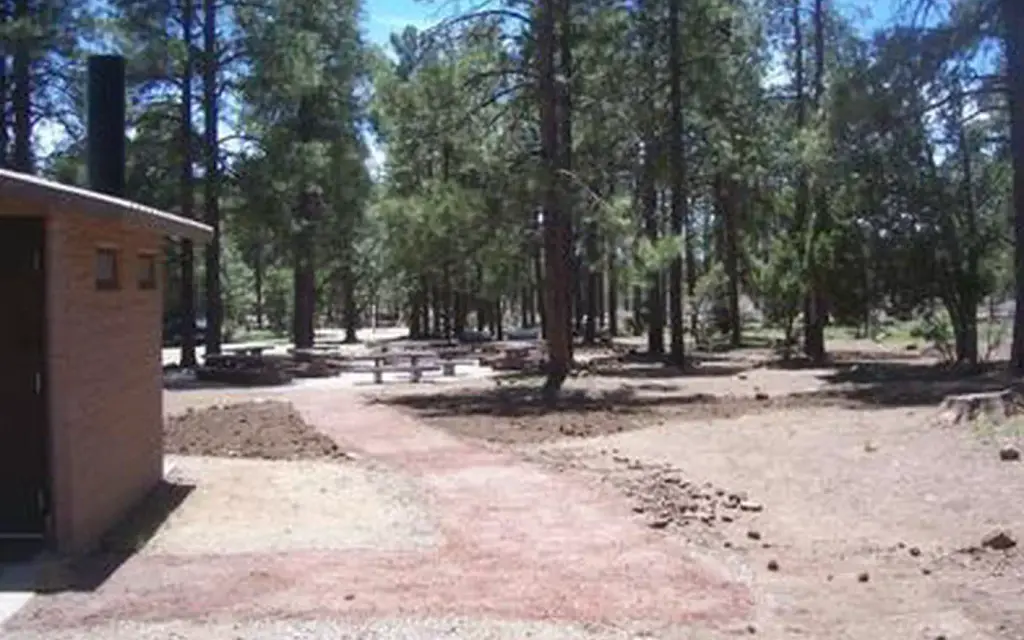 Playground Group, a Forest Service group camp