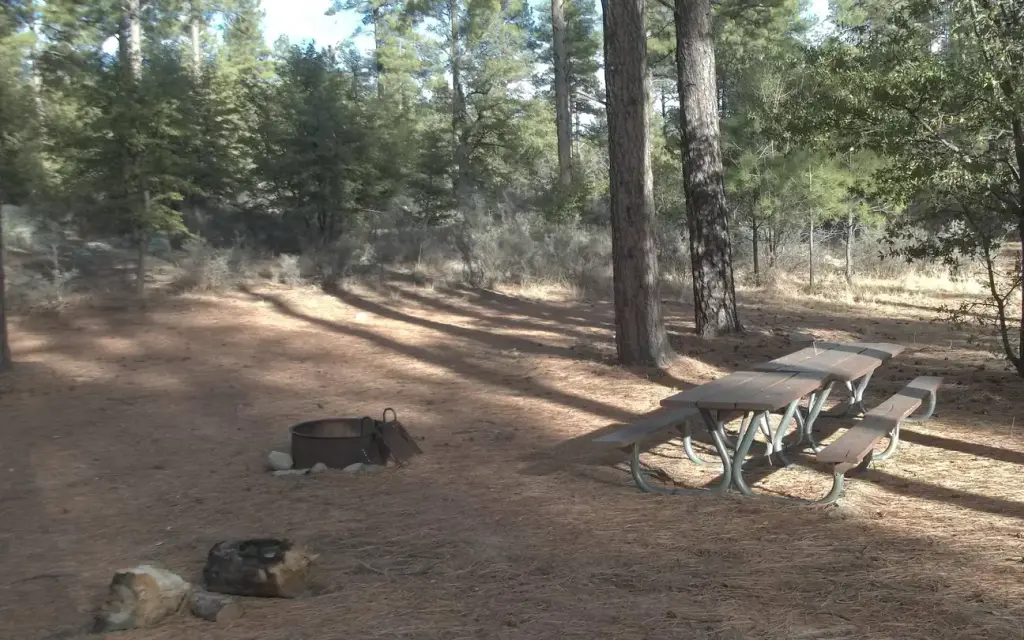 Upper Wolf Creek Group, a Forest Service group camp
