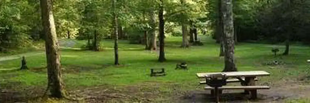 McNabb Creek Group, a Forest Service group camp