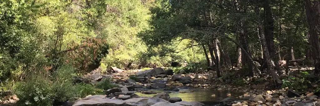 Pipi Campground, a Forest Service campground