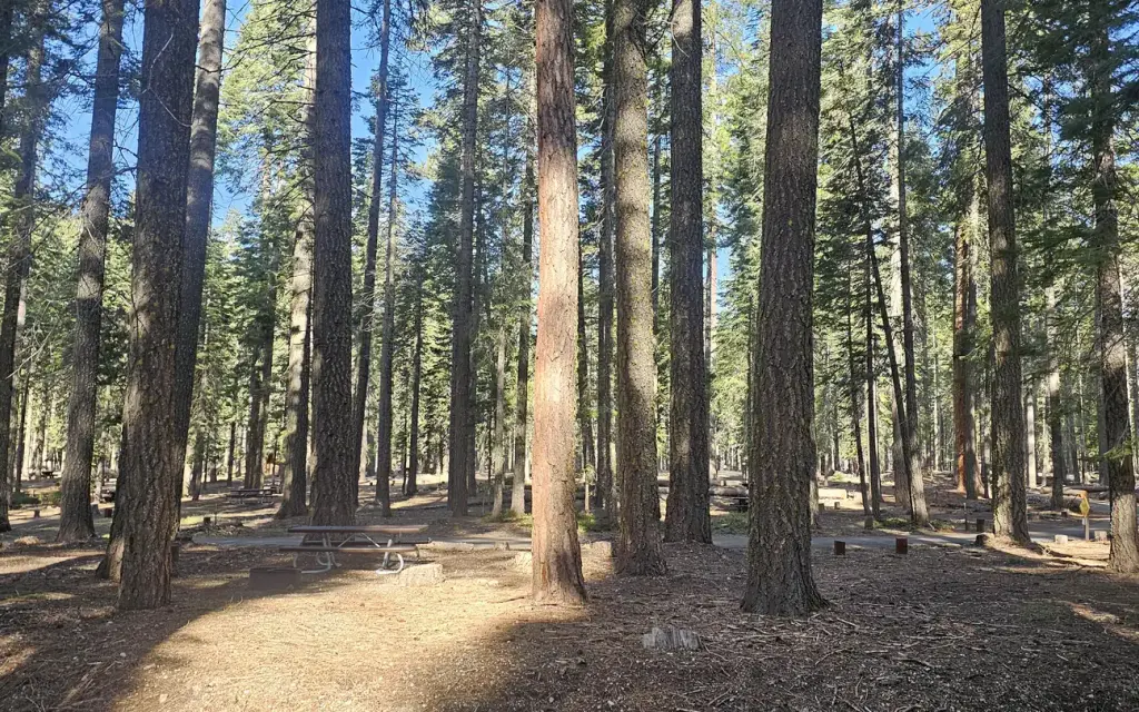 Gurnsey Creek, a Forest Service campground
