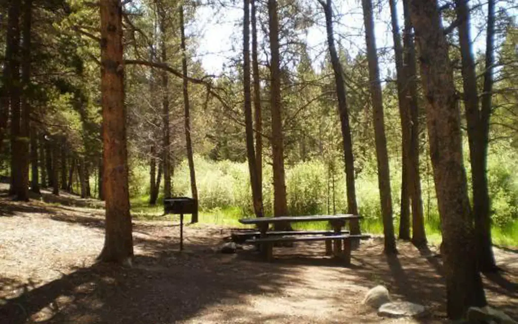 Silver Dollar, a Forest Service campground