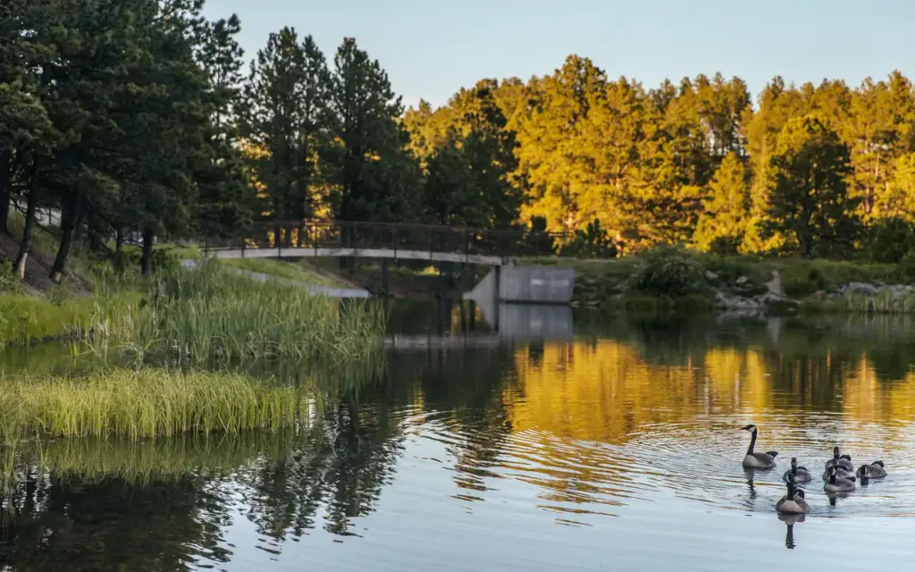 Roubaix Lake, a Forest Service campground