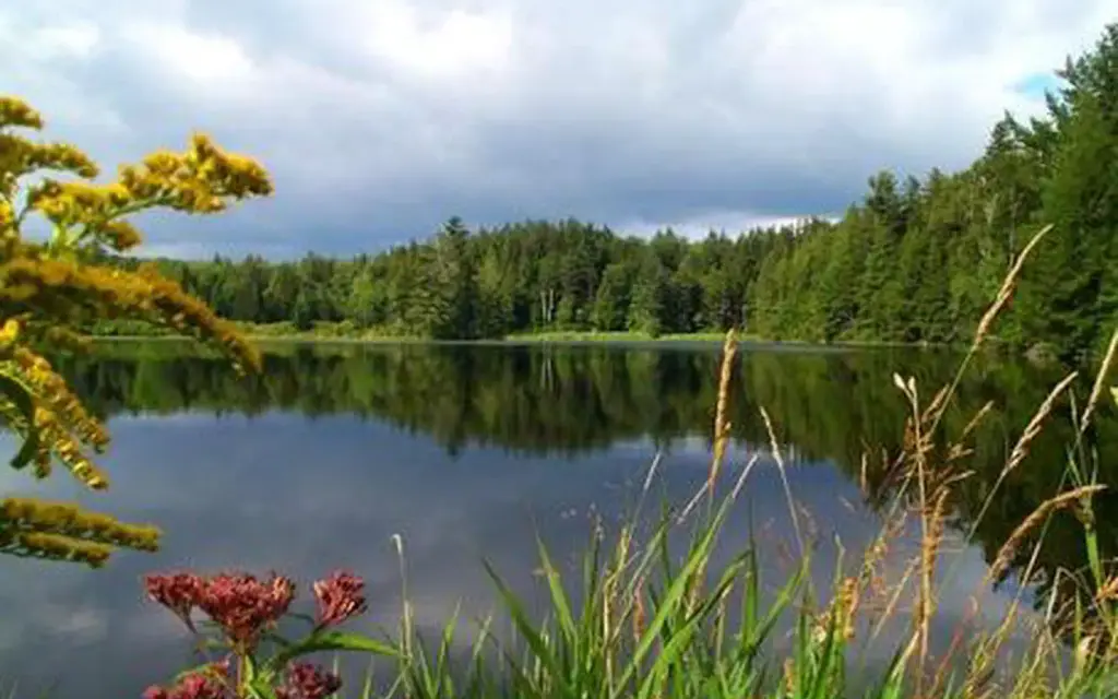 Hapgood Pond, a Forest Service campground