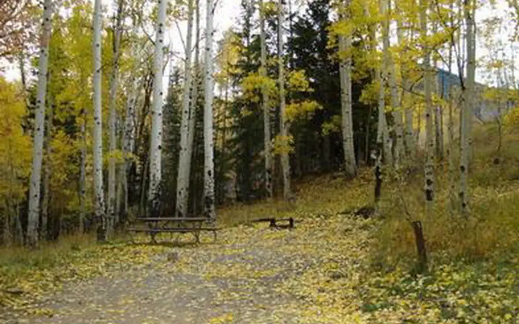 Buckboard, a Forest Service campground