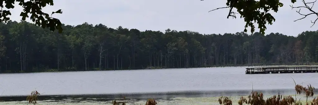 Pinewoods Lake Rec Area, a Forest Service campground