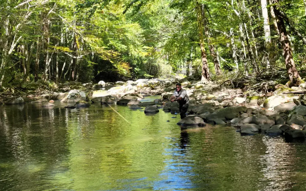 Cataloochee Group Camp, a National Park Service group camp