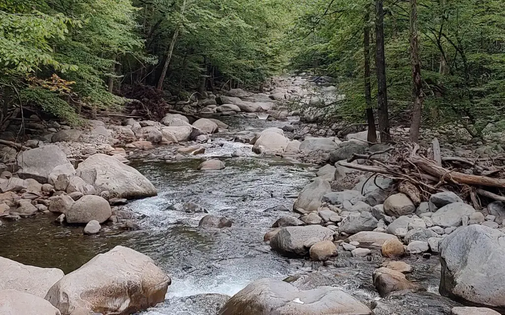 Big Creek Group Camp, a National Park Service group camp