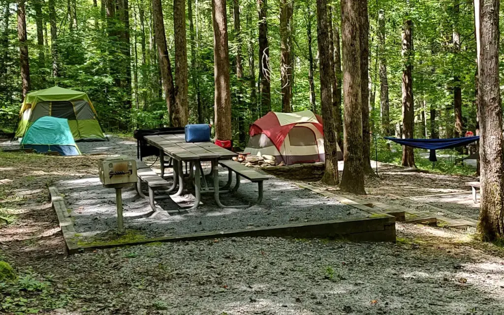 Cosby Group Camp, a National Park Service group camp