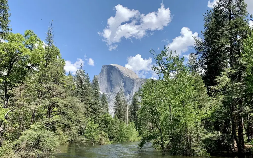Upper Pines Campground, a National Park Service campground